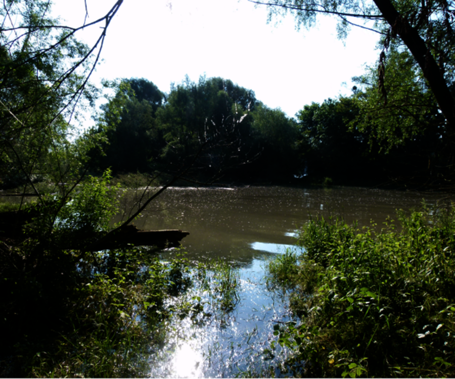 Auen, Nationalpark, Forschung